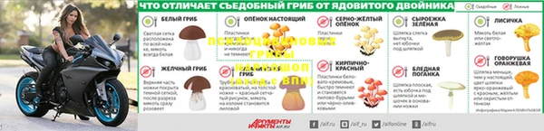 СК Беломорск