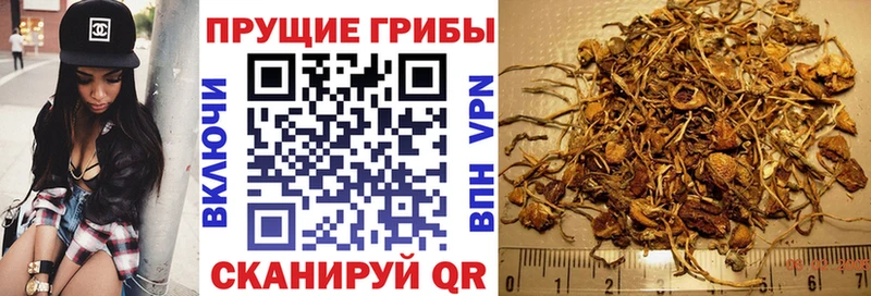 Псилоцибиновые грибы Psilocybine cubensis  kraken ONION  darknet формула  Вязьма 