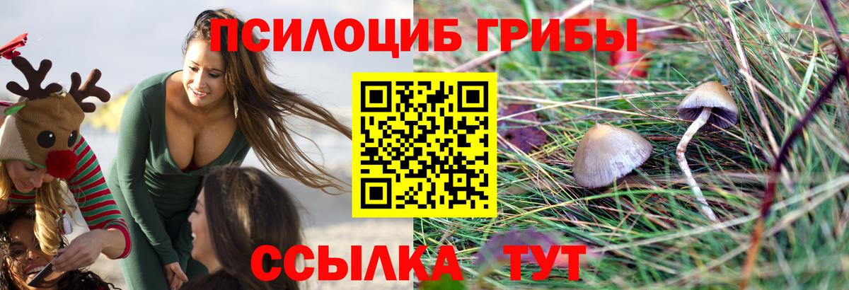 Вязьма  Галлюциногенные грибы мухоморы  Вход с VPN 