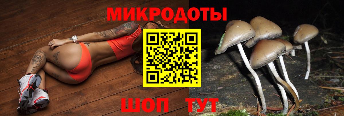 Псилоцибиновые грибы ЛСД Вязьма